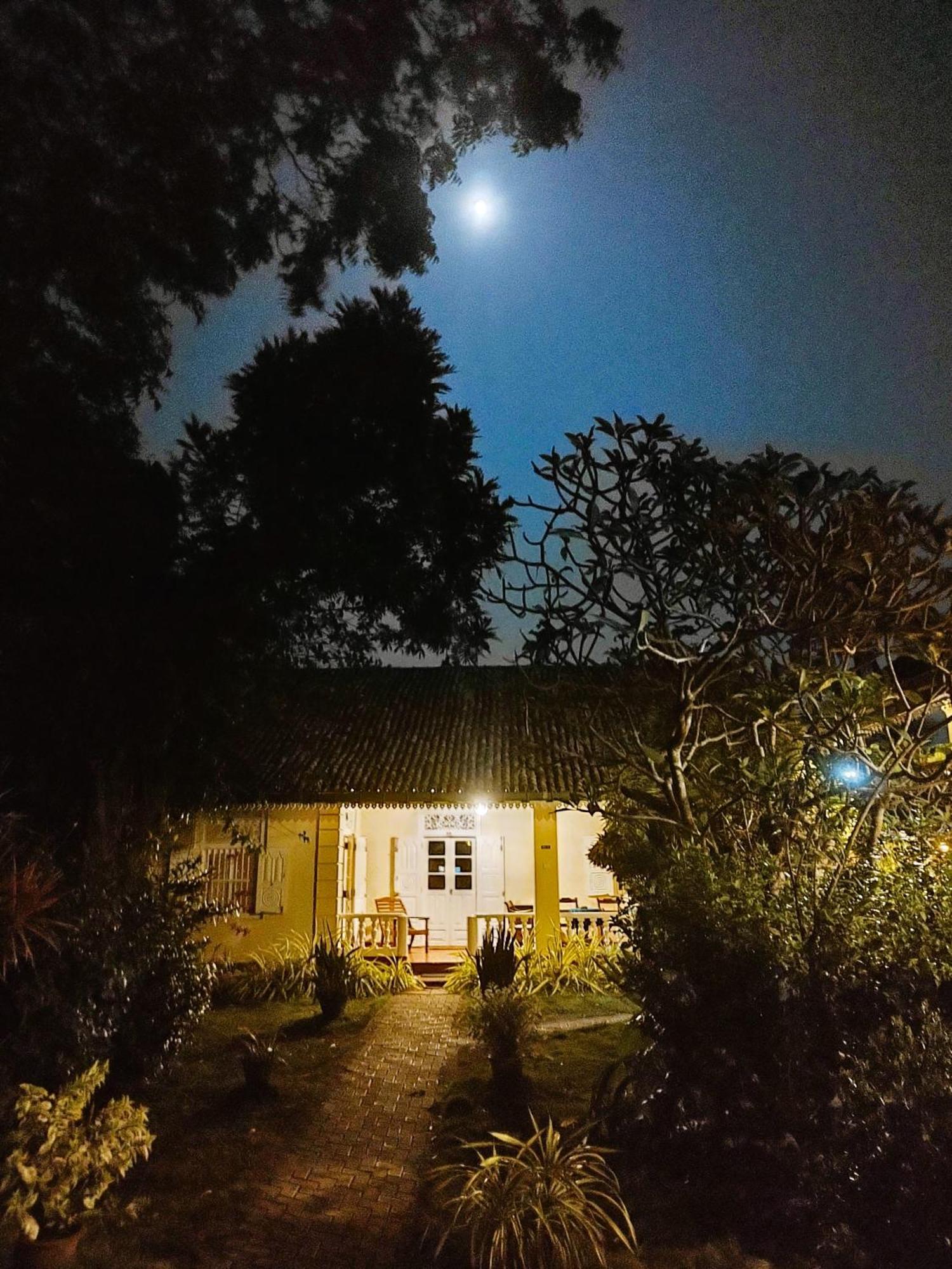 Top Of The Hill Guesthouse Велигама Номер фото